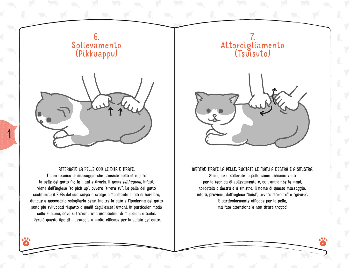 Coccole per gatti. Massaggi e carezze per felini felici