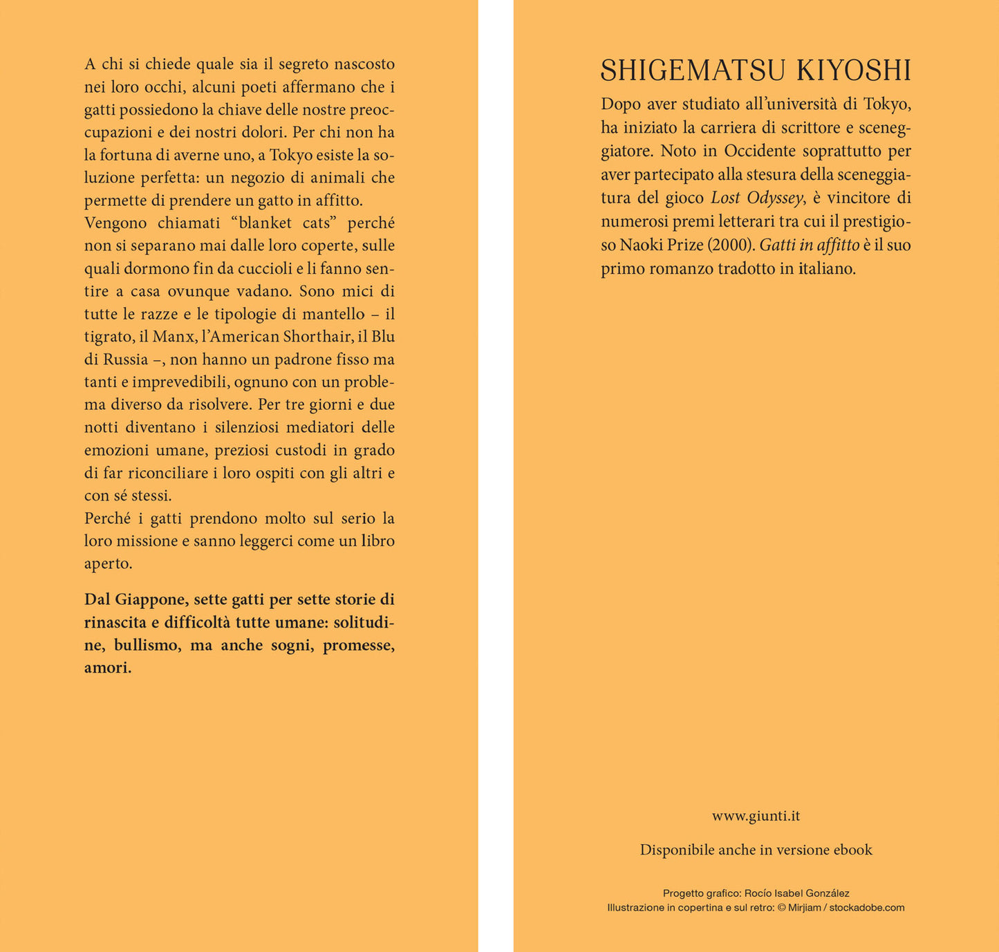 Gatti in affitto. Tre giorni e due notti con un gatto