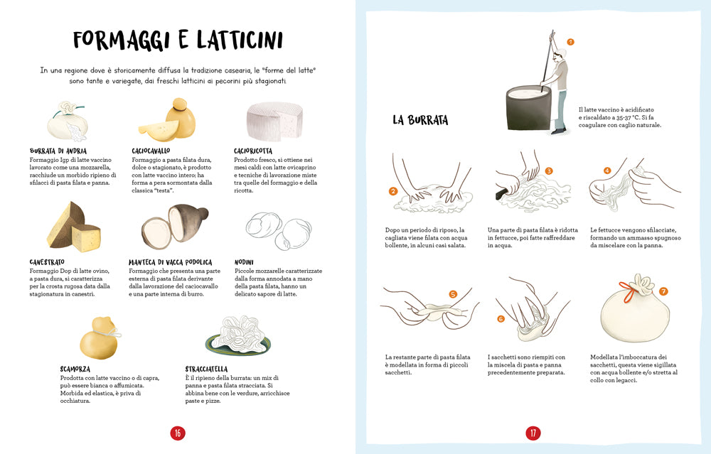 La cucina pugliese illustrata. Le ricette, i prodotti e i luoghi per conoscere tutto sulla cultura gastronomica della Puglia.