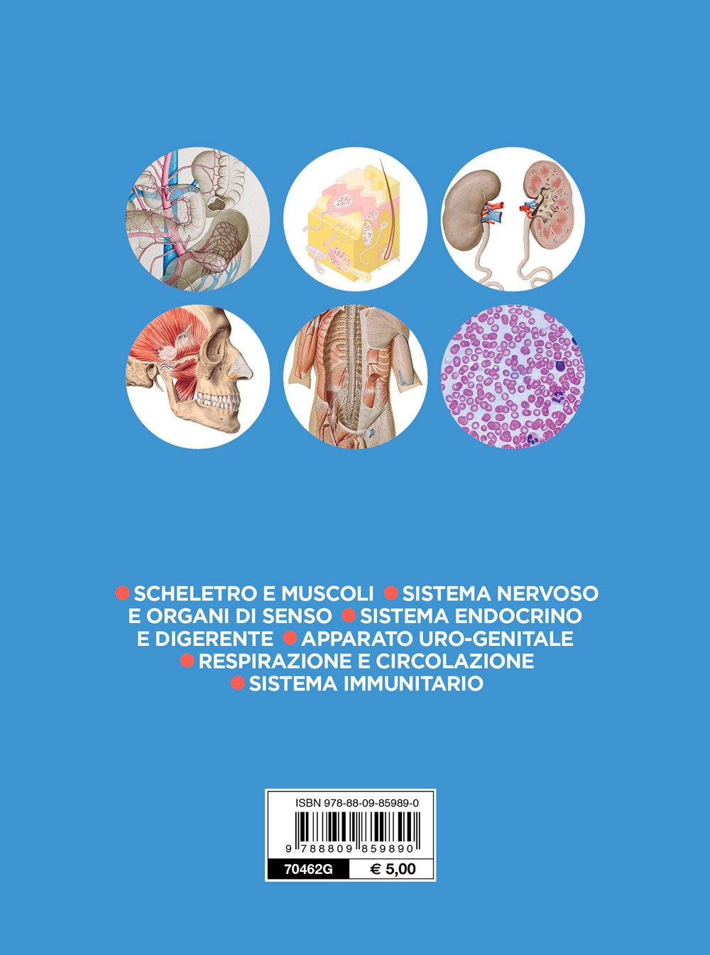 Anatomia. Scheletro e muscoli - Sistema nervoso e organi di senso - Sistema endocrino e digerente - Apparato uro-genitale - Respirazione, circolazione - Sistema immunitario