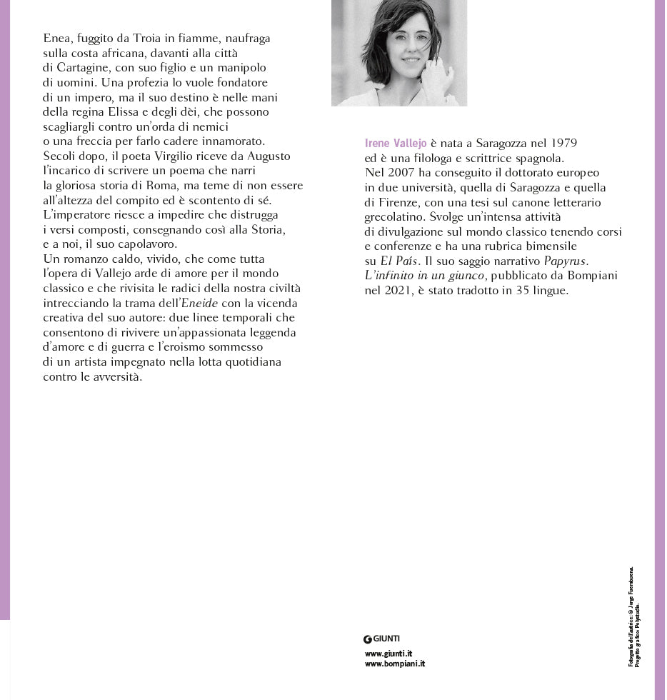 Il mio arco riposa muto. Il romanzo dell'Eneide