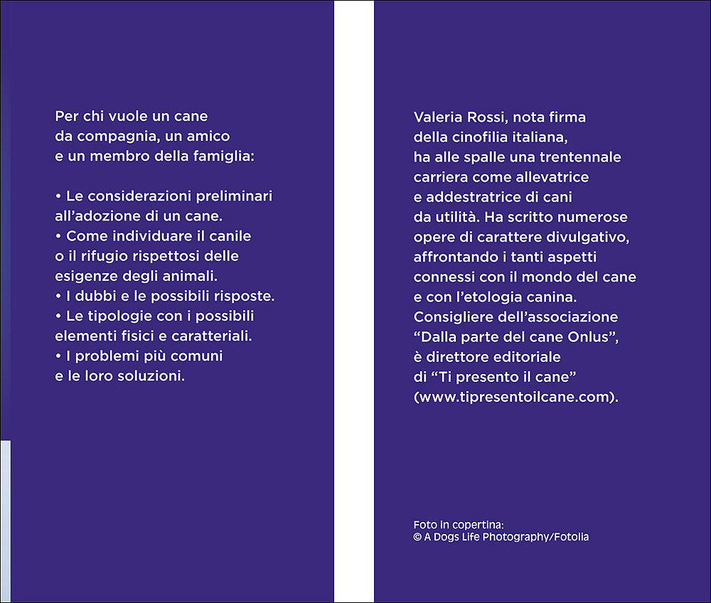 Adottare un cane. Cosa fare per un'amicizia a tutta fedeltà