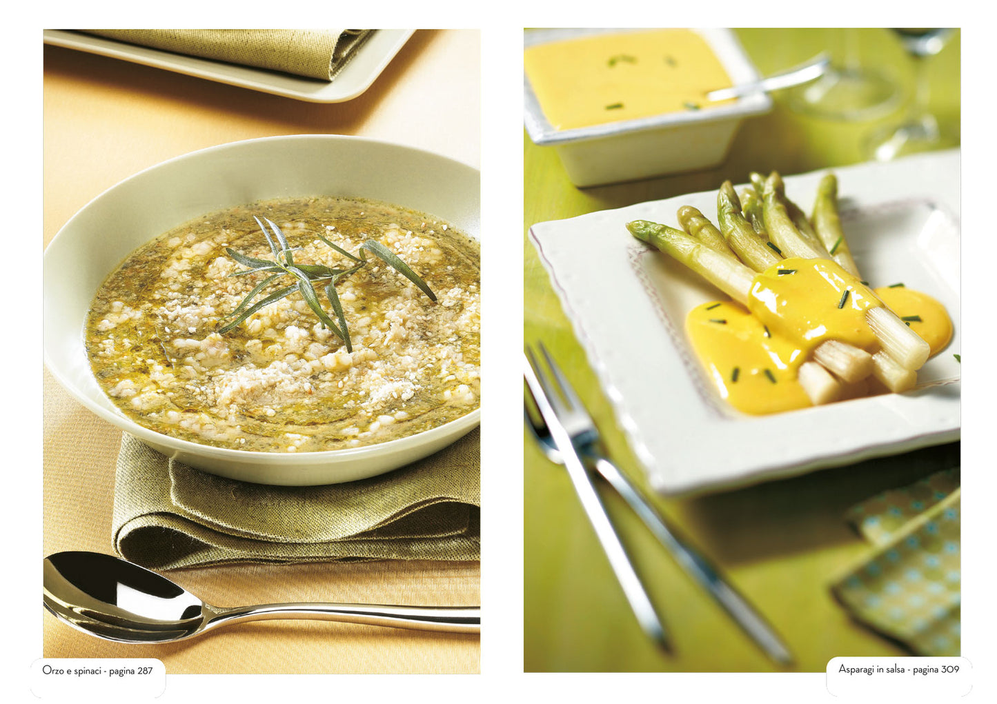 Il cucchiaio verde. La bibbia della cucina vegetariana