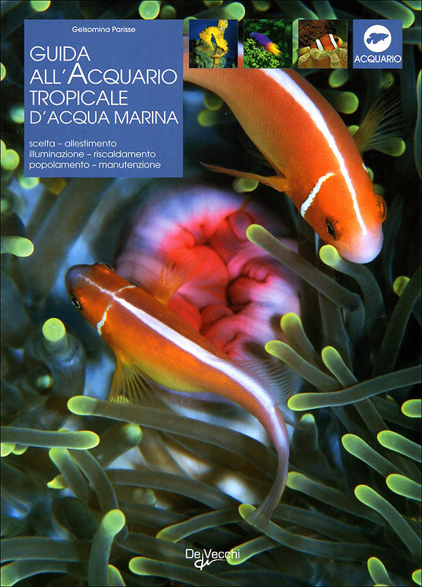 Guida all'acquario tropicale d'acqua marina. Scelta, allestimento, illuminazione, riscaldamento, popolamento, manutenzione