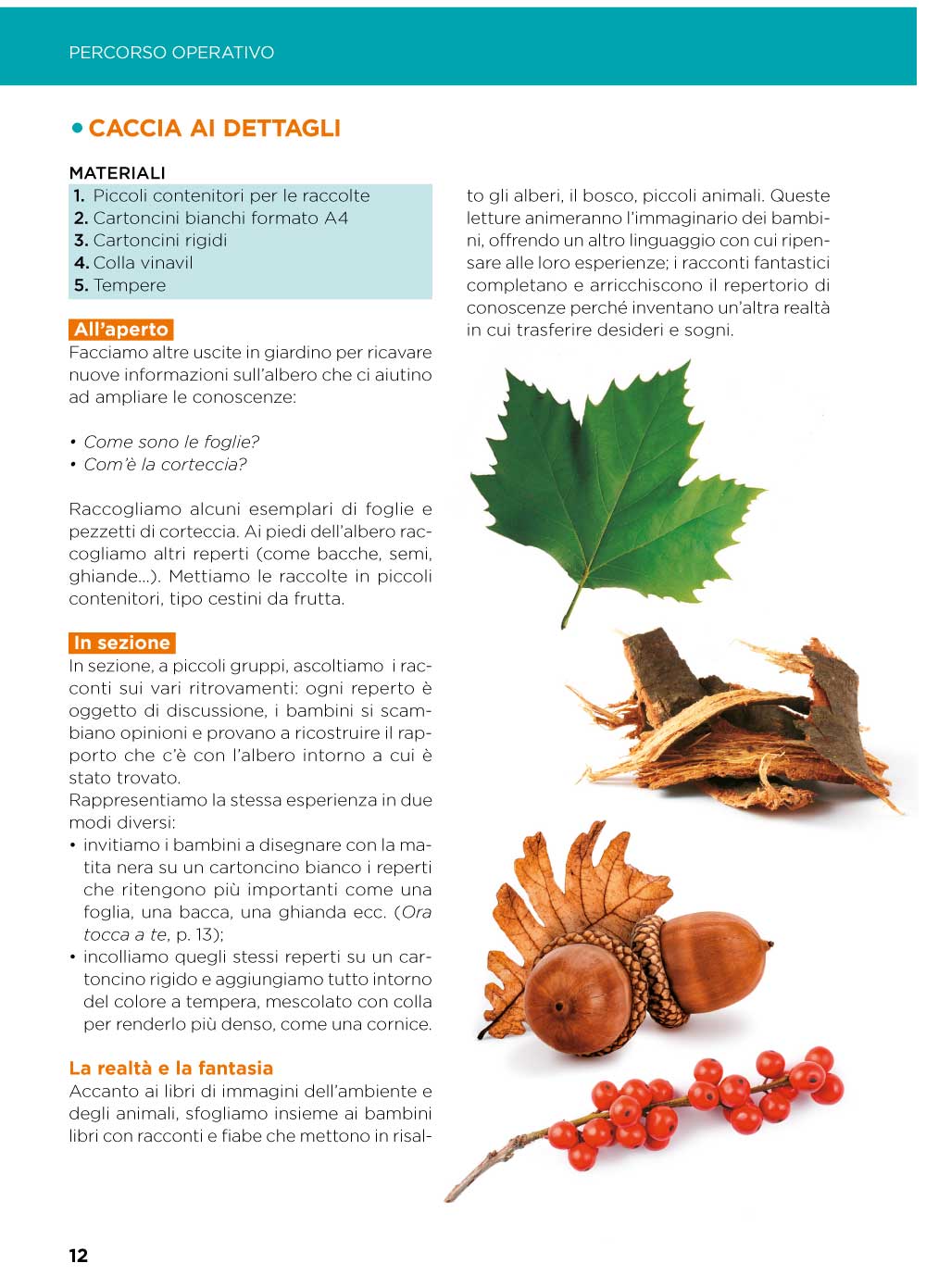 Amico albero. Educazione ambientale ed espressiva nella scuola dell'infanzia