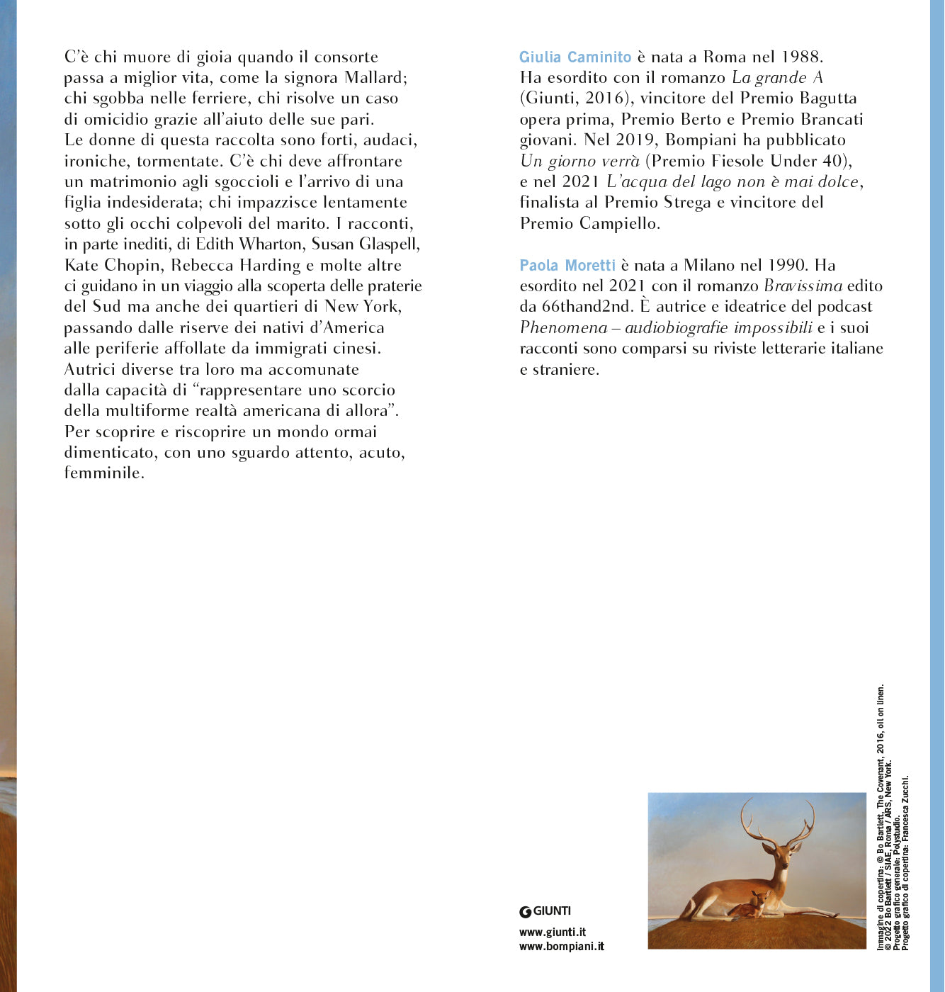 Donne d'America. Diciotto scrittrici raccontano gli Stati Uniti del secolo scorso