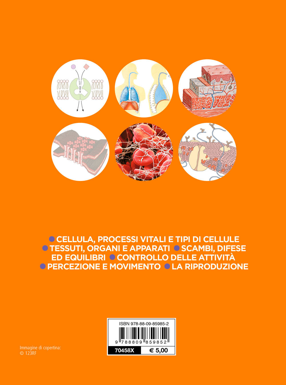 Fisiologia umana. La cellula e i processi vitali di base - Tipi di cellule - Scambi fra ambiente interno e ambiente esterno - L'ambiente interno - Controllo elettrico, biochimico e chimico delle attività corporee - Interazioni con l'ambiente - La ripro