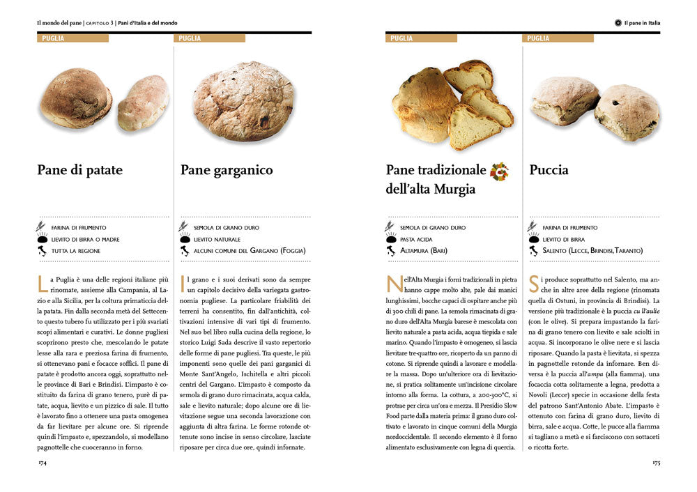 Il mondo del pane. Il libro per conoscerlo, sceglierlo, farlo in casa