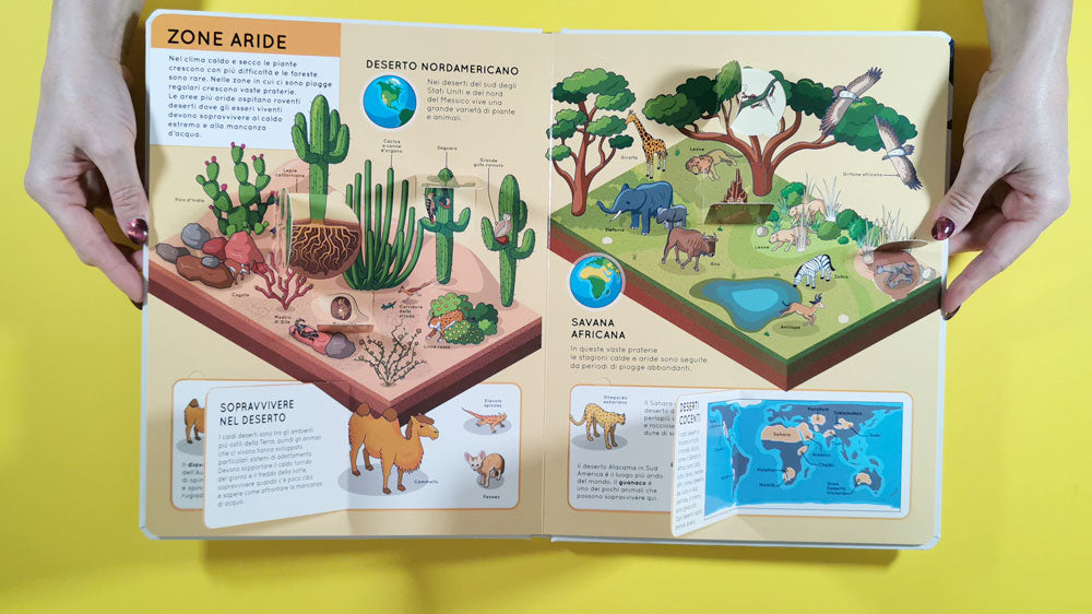 Alza e scopri – Animali