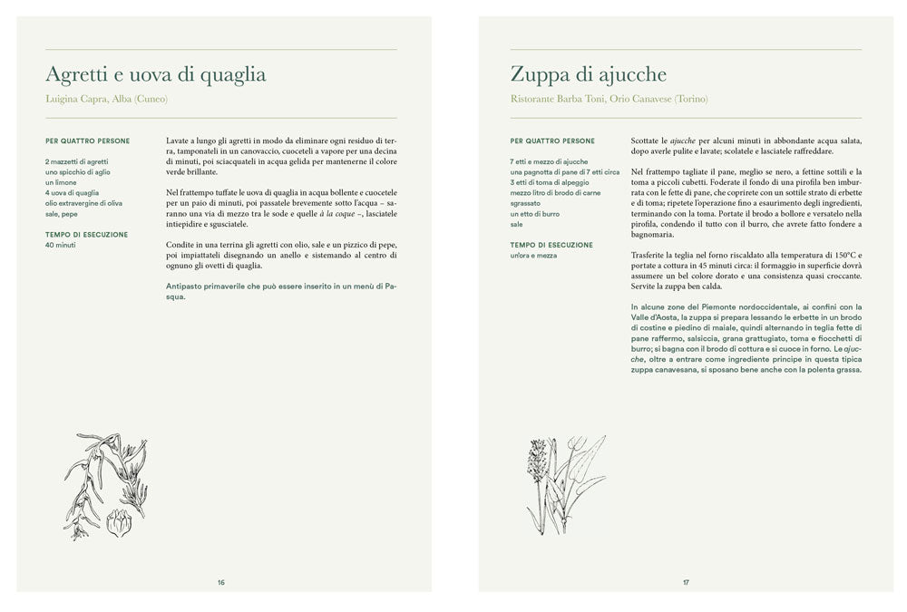 Atlante gastronomico delle erbe. 170 piante. 60 ricette