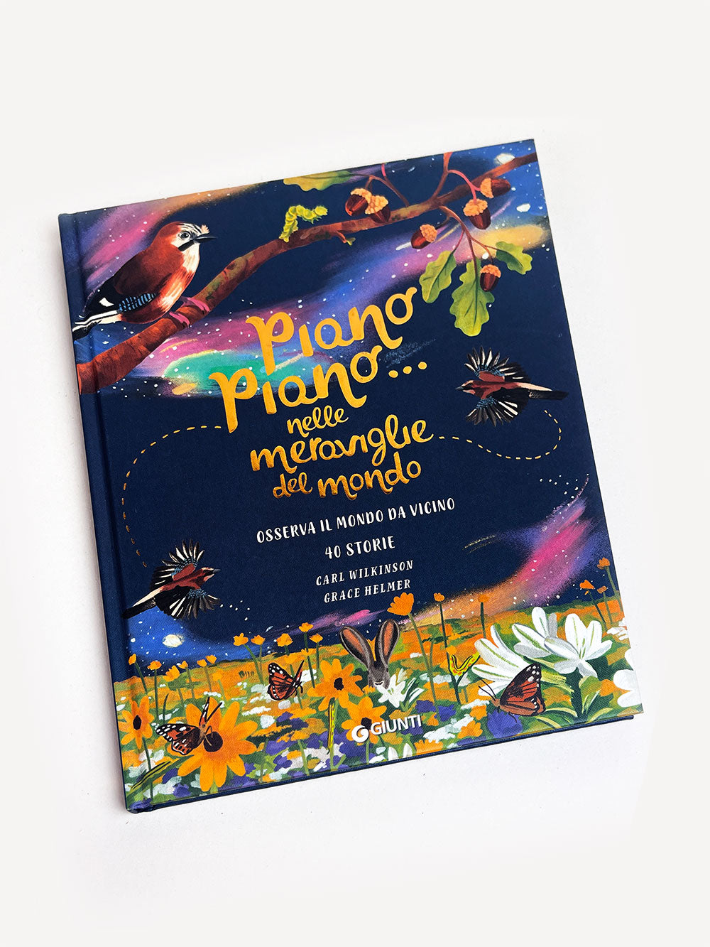 Piano piano... nelle meraviglie del mondo. Osserva il mondo da vicino