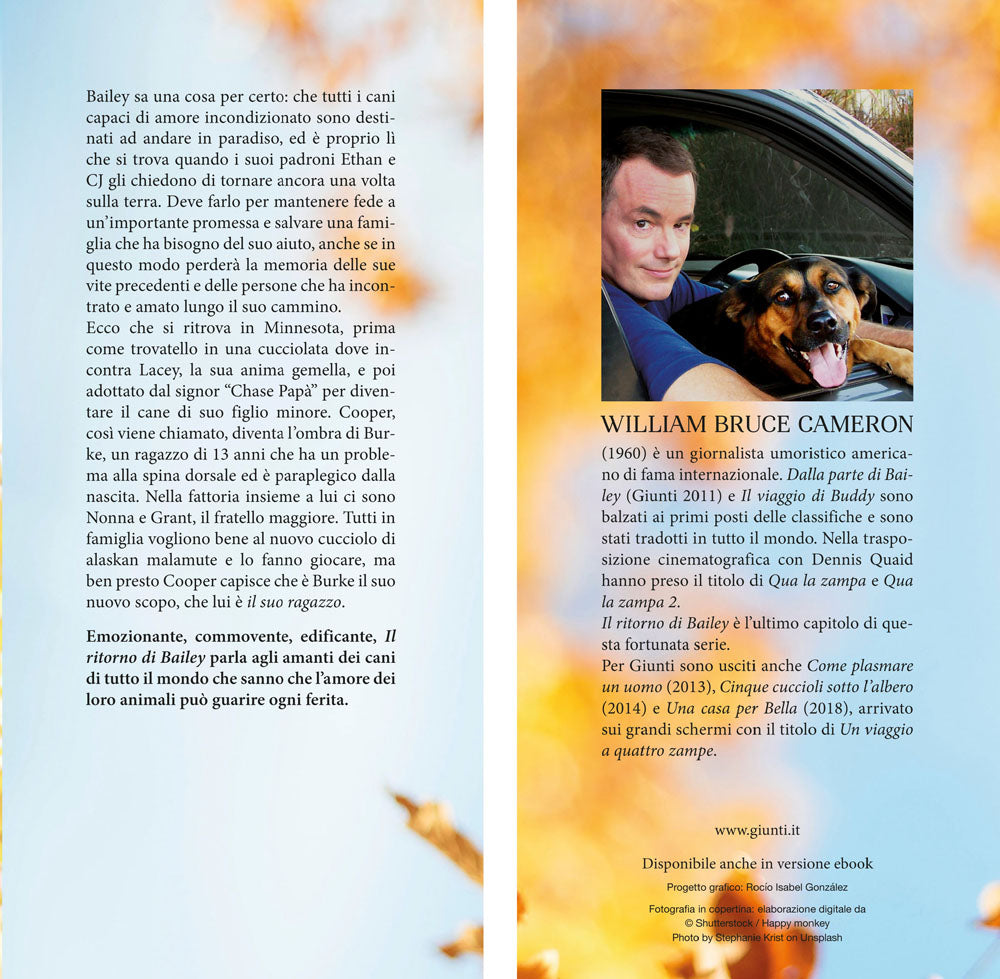 Il ritorno di Bailey