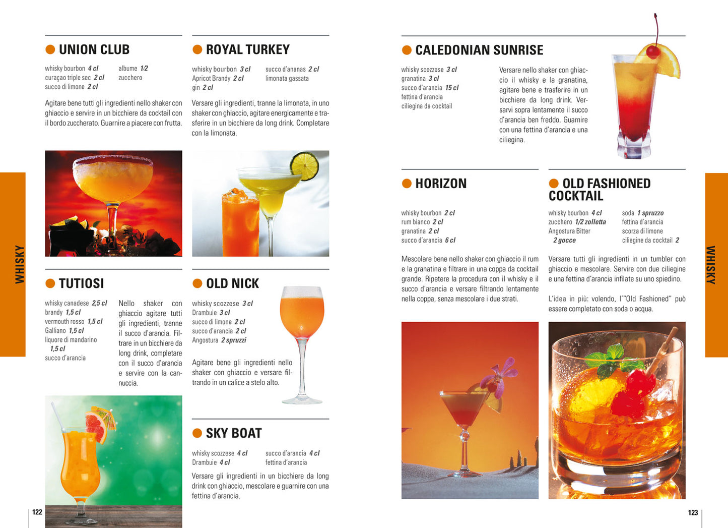 Cocktail. Ricette classiche e nuove da tutto il mondo