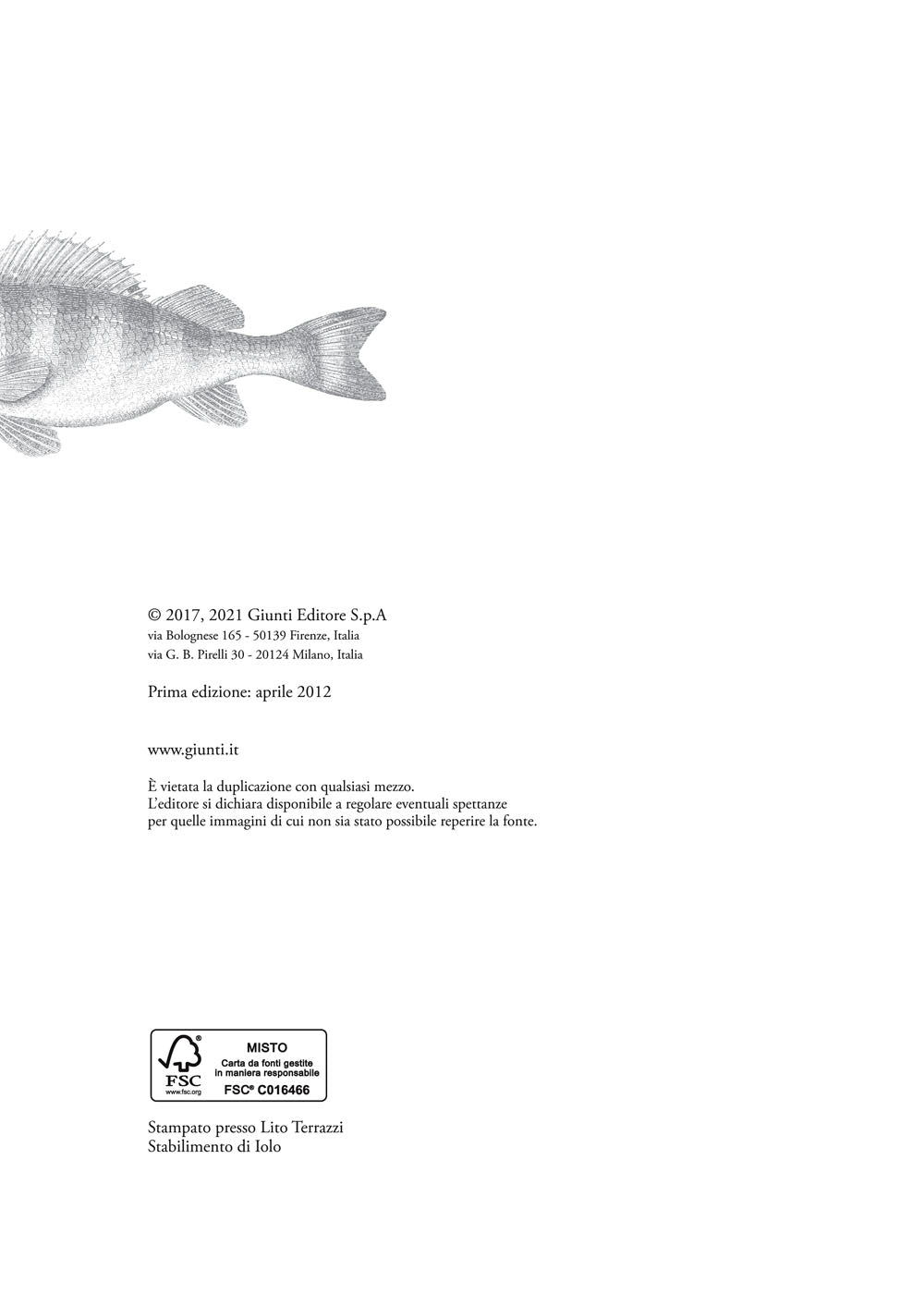 L'arte di guardare l'arte