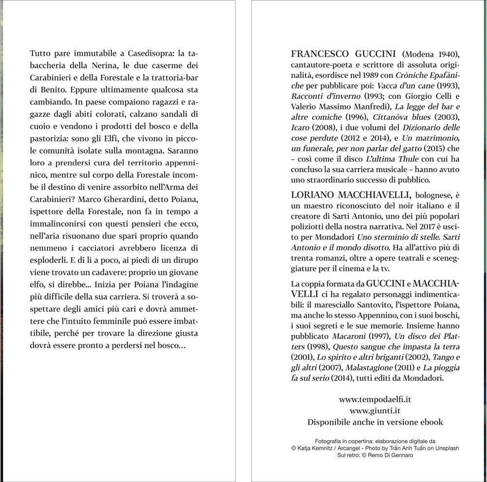 Tempo da elfi. Romanzo di boschi, lupi e altri misteri