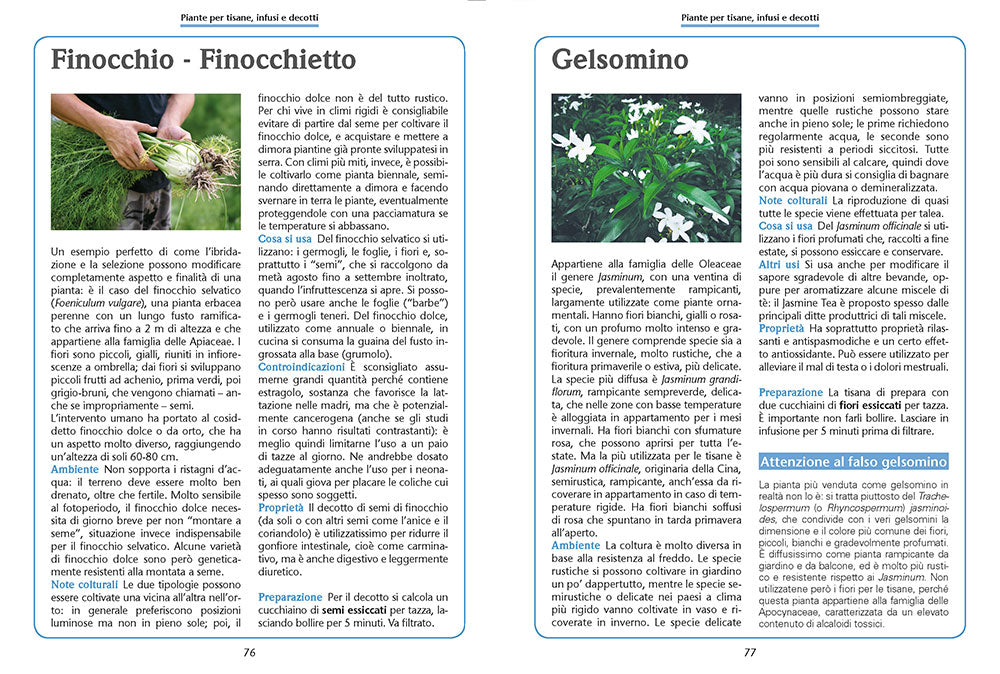 Coltiva le tue tisane. Tè e infusi