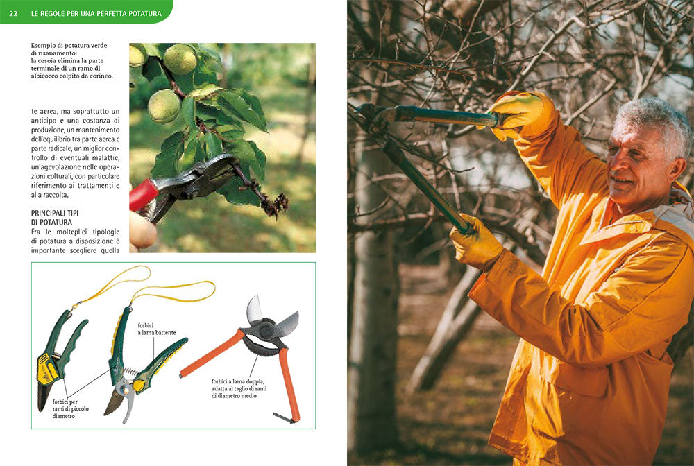 Potature e innesti per le piante da frutto