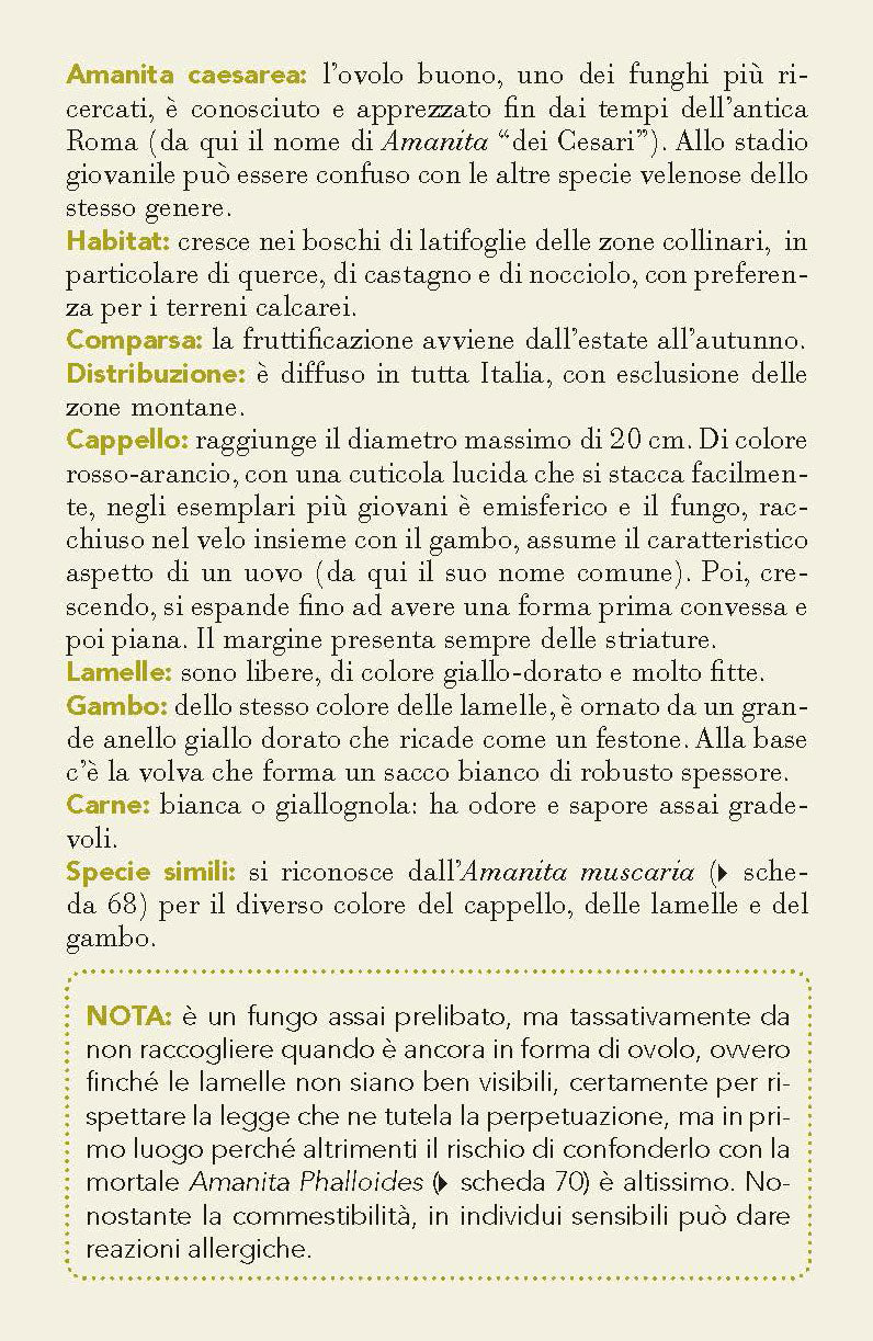 Funghi. 101 schede per conoscere, riconoscere e trovare i funghi