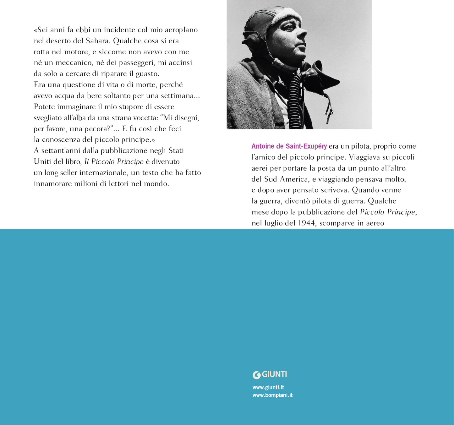 Il Piccolo Principe. Con le illustrazioni dell'autore