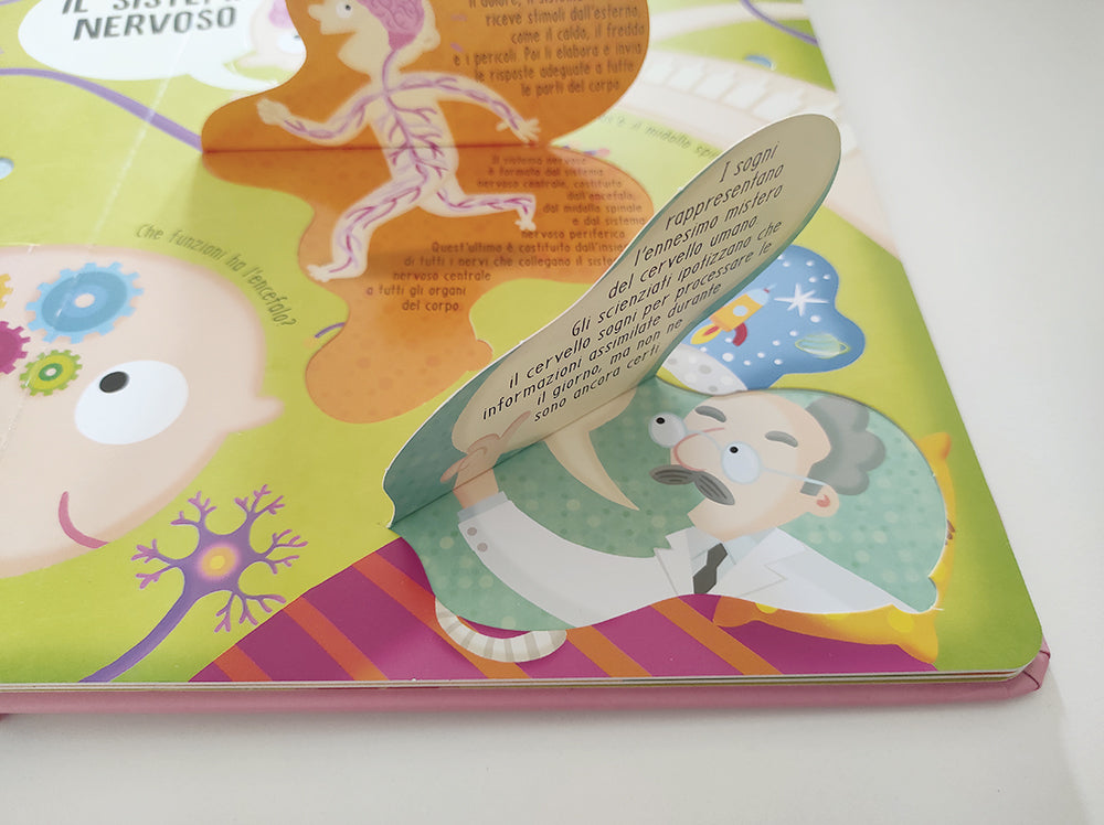 Il corpo umano. Solleva le alette e trova le risposte!