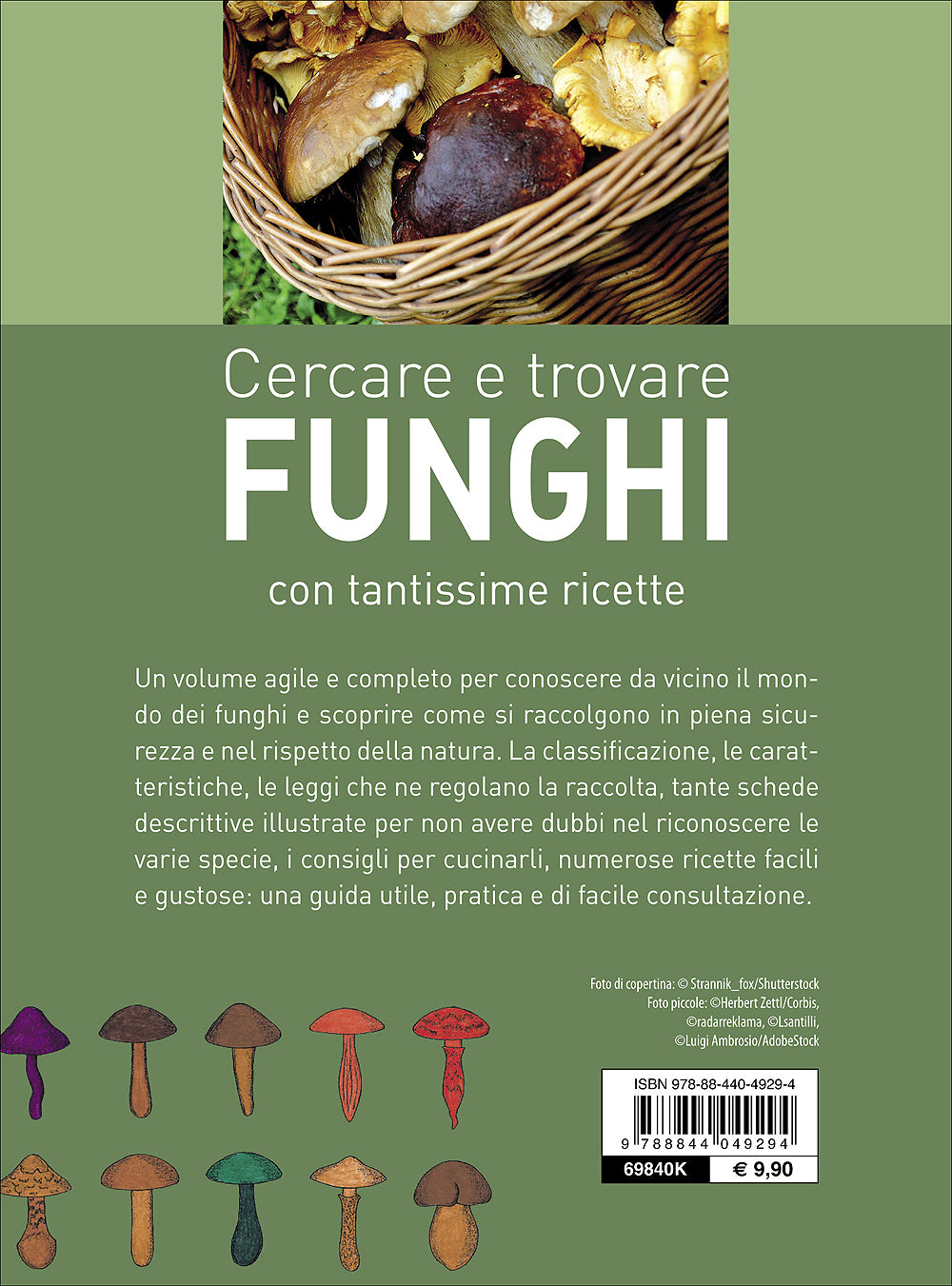 Cercare e trovare funghi. Con tantissime ricette