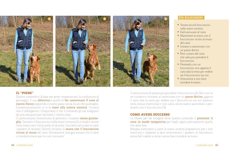 L'educazione del tuo cane