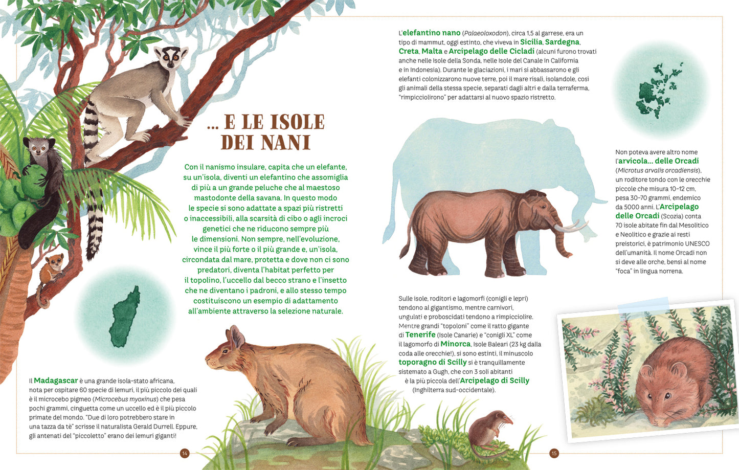 Un mondo di isole