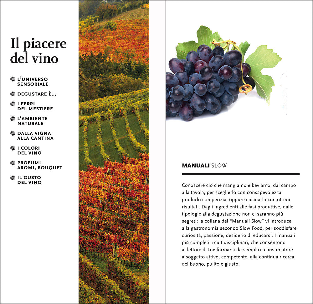 Il piacere del vino. Come imparare a bere meglio - Nuova edizione