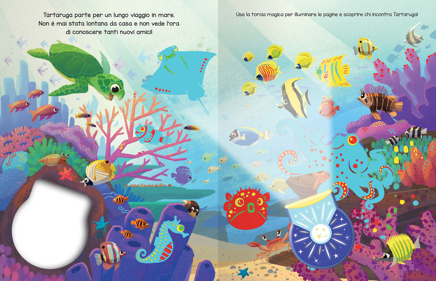 Animali del mare