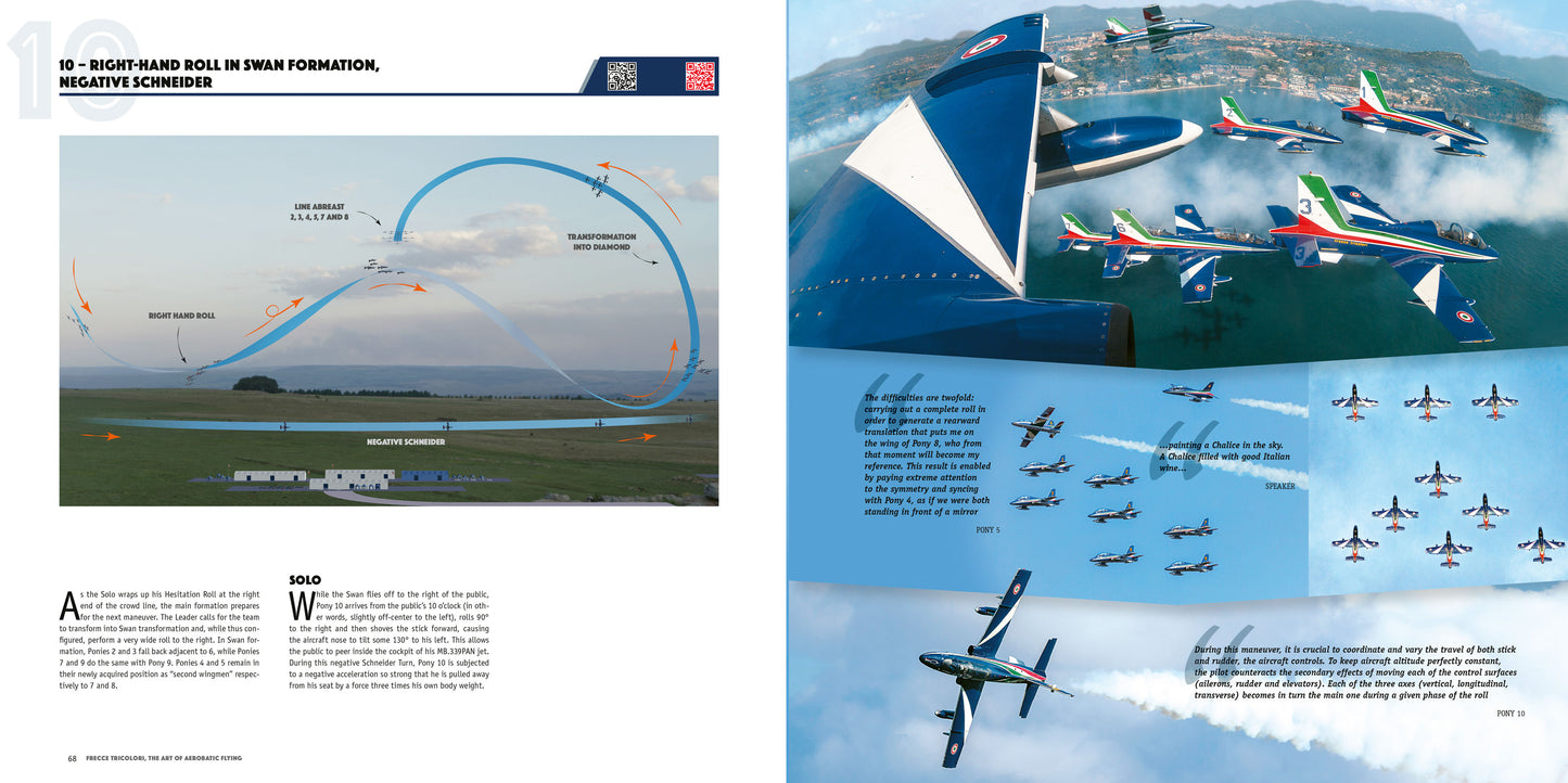 Frecce Tricolori. The Art of Aerobatic Flying