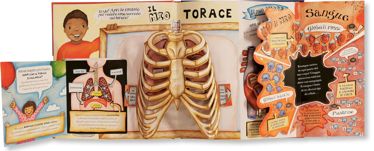 Grande libro pop-up del corpo umano. Incredibili pop-up, curiosità e notizie!