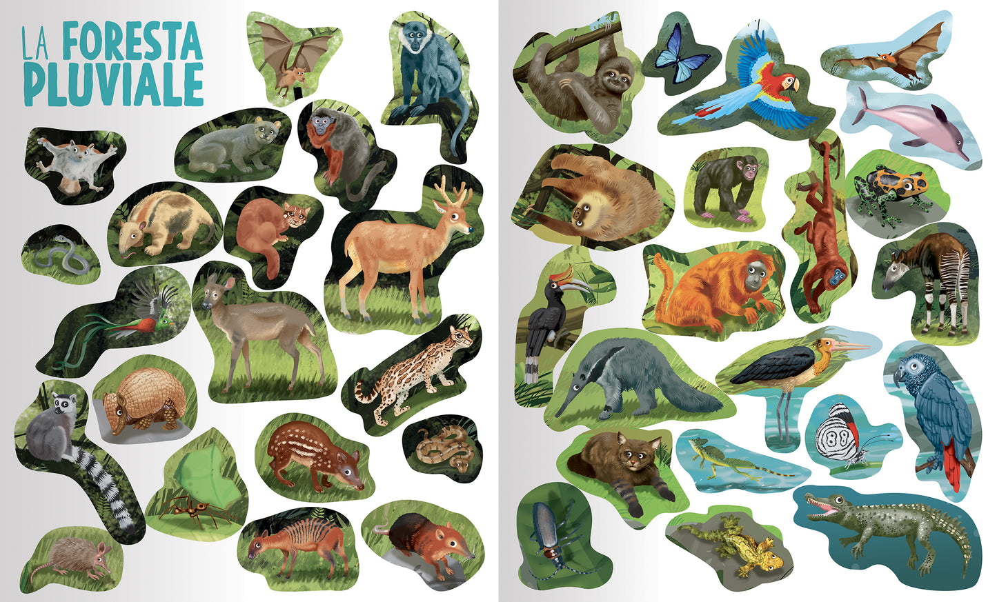 Animali Selvaggi