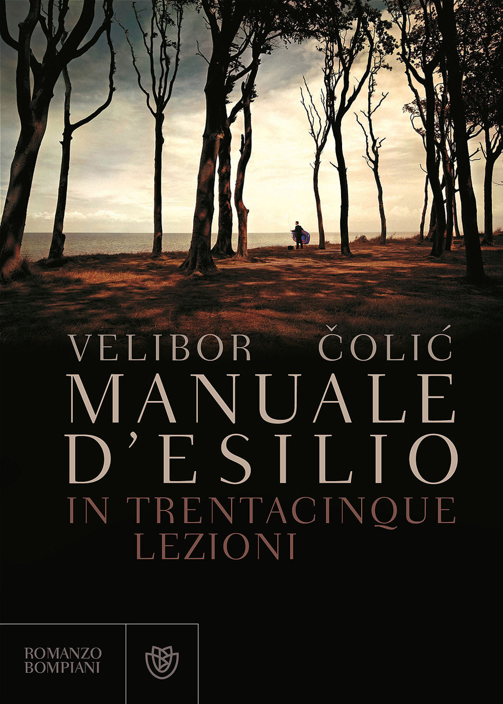 Manuale d'esilio in trentacinque lezioni