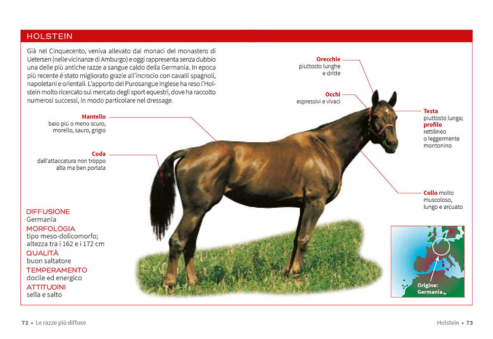 Cavallo. Il manuale completo. Razze, psicologia, alimentazione, pronto soccorso
