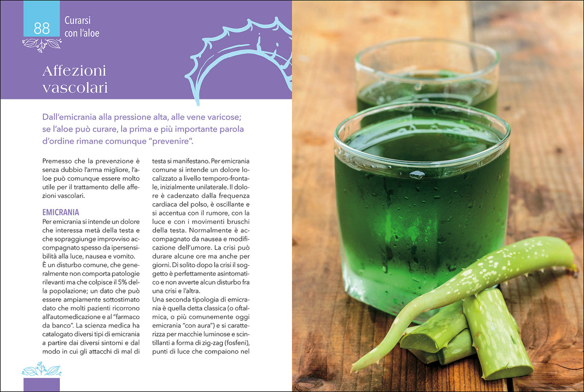 Aloe. La pianta che cura: virtù, proprietà e applicazioni terapeutiche