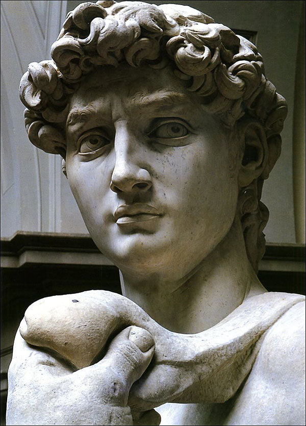 Cartolina. Firenze - Galleria dell'Accademia. David, particolare (1501-1504). dopo il restauro 2004