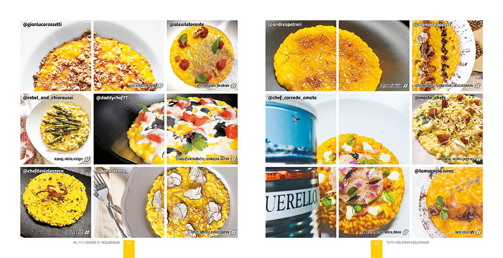 Tutti i colori di / All the colors of Acquerello. ispirazioni di riso / rice inspirations