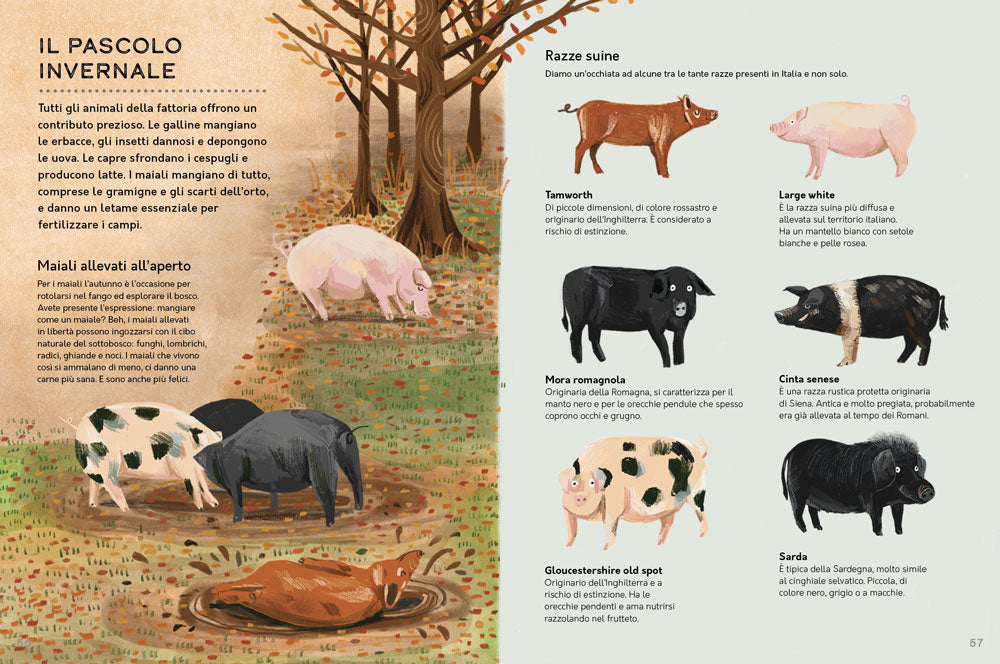 Un anno in fattoria. Le quattro stagioni nella vita di una fattoria biologica dal campo alla tavola.