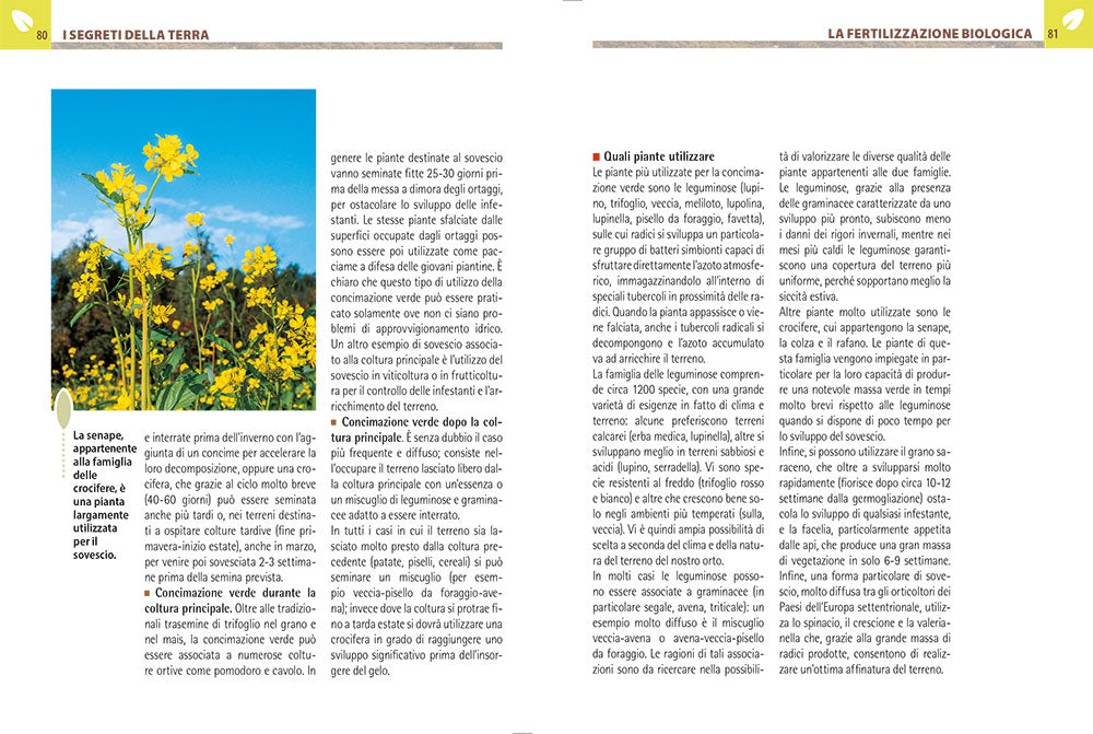 Orto e frutteto biologico