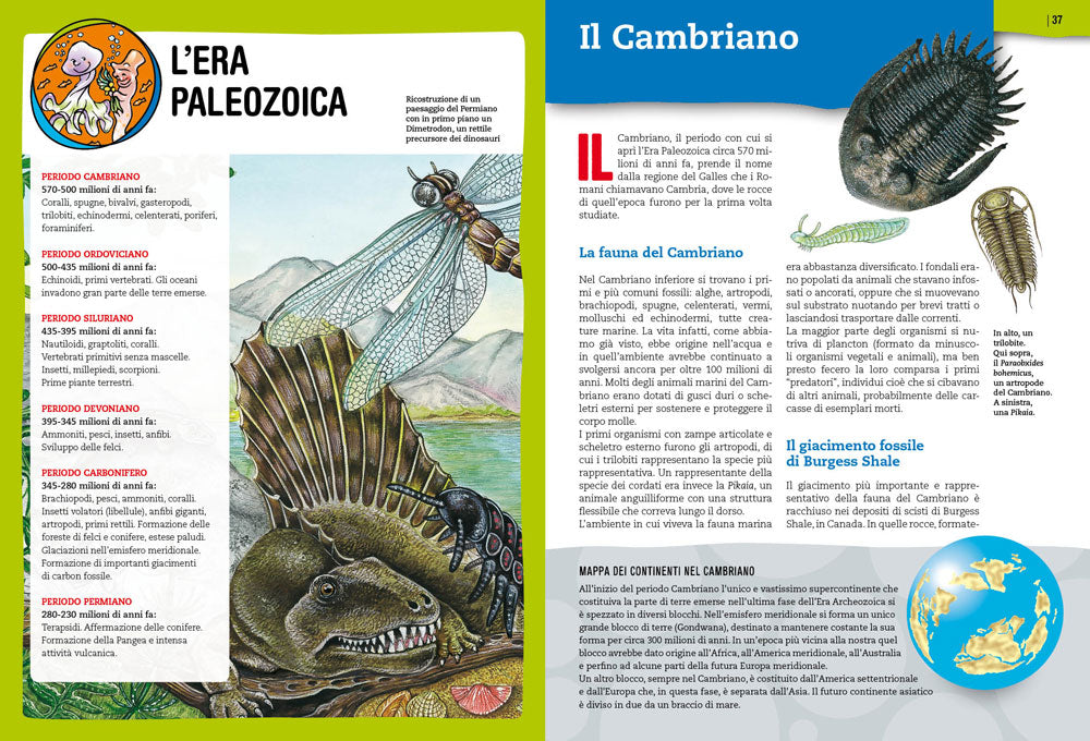 Preistoria. L'evoluzione della vita sulla Terra. Con tante immagini da ritagliare per le tue ricerche