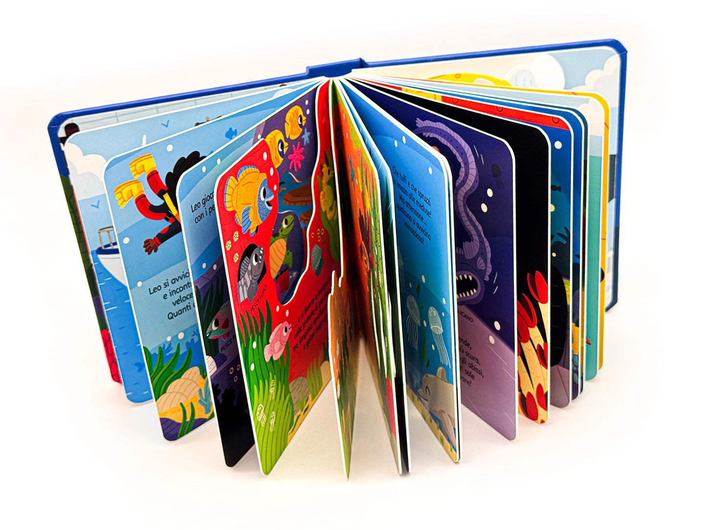 Zoom. Avventura nell'Oceano