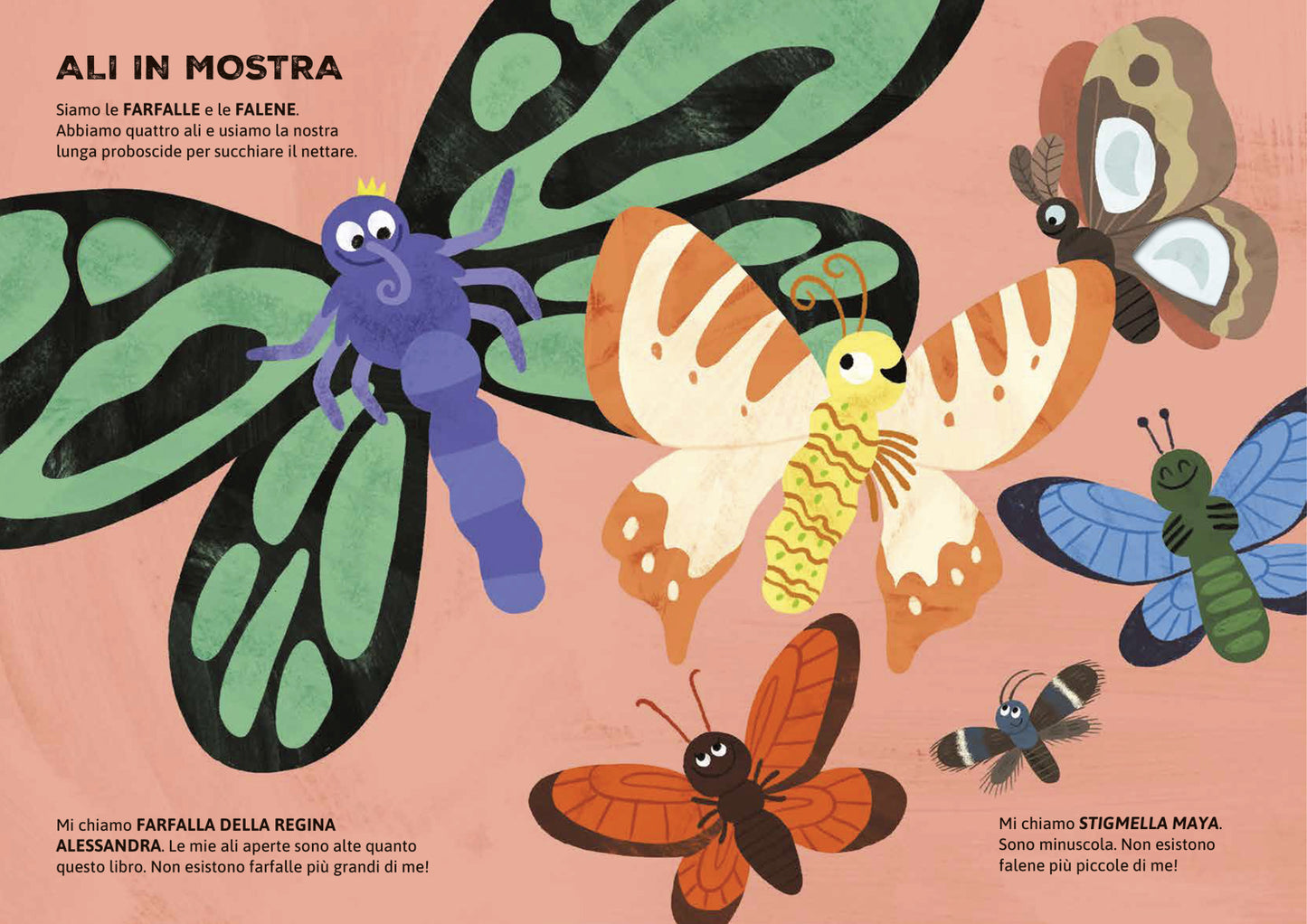 Chi vive nel prato?. Per sbirciare attraverso i fori e sorprendersi a ogni pagina!