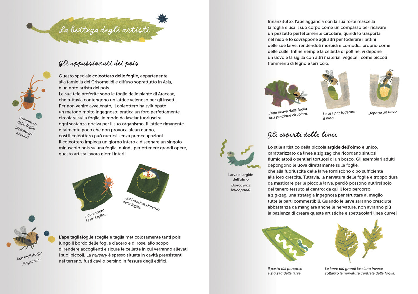 L'arte della Natura. Un museo a cielo aperto