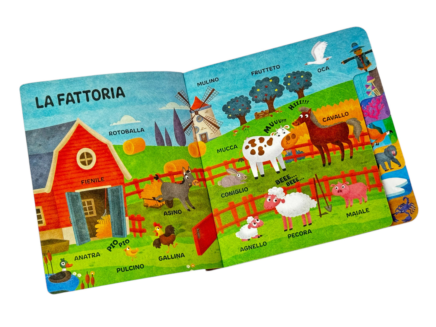 Il mondo degli animali