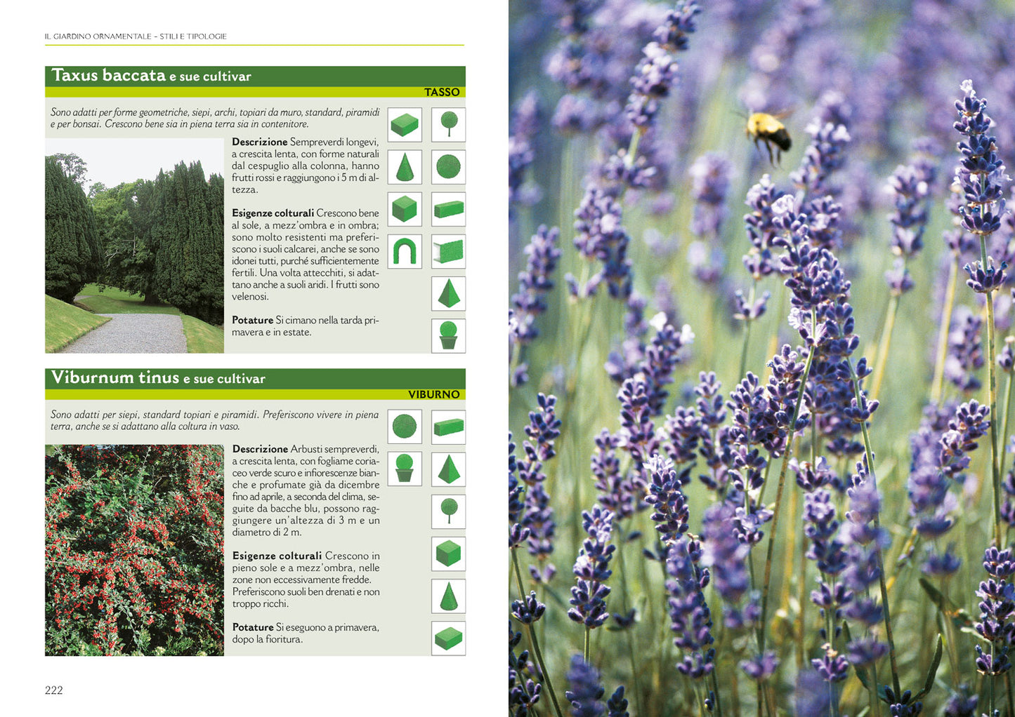 Il grande libro della potatura e degli innesti