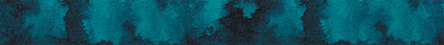 The Silence of Bones