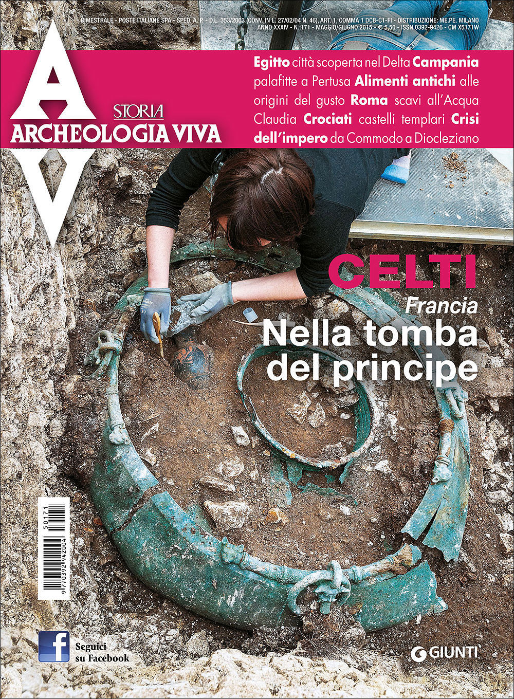 Archeologia Viva n. 171 - maggio/giugno 2015. Rivista bimestrale