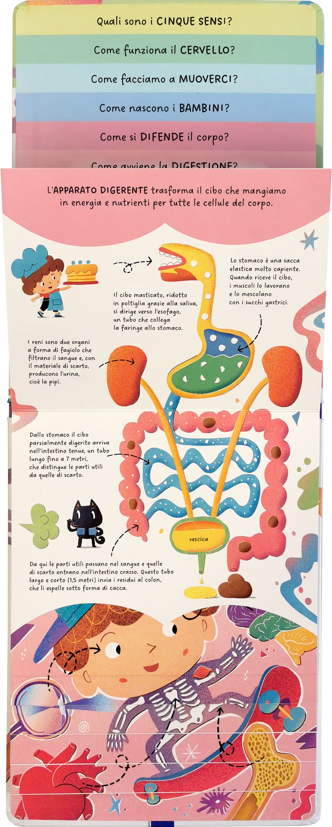 Scopri di più – Corpo umano