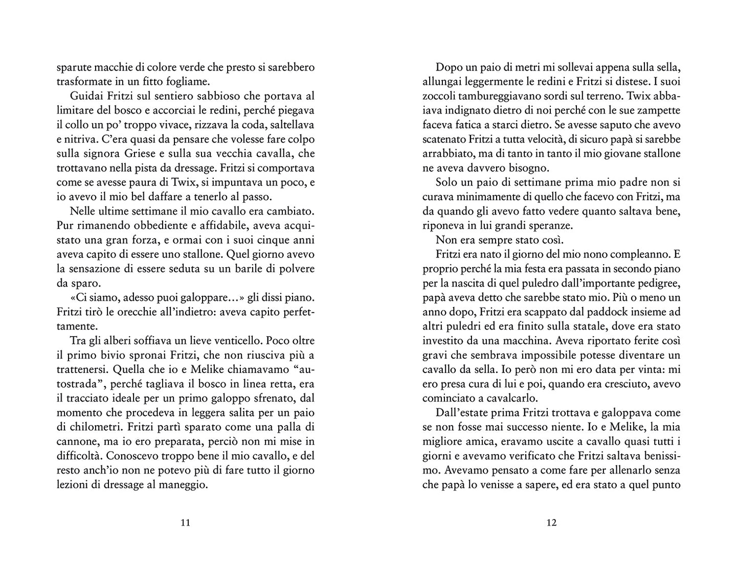 Elena. L'estate della decisione. 2