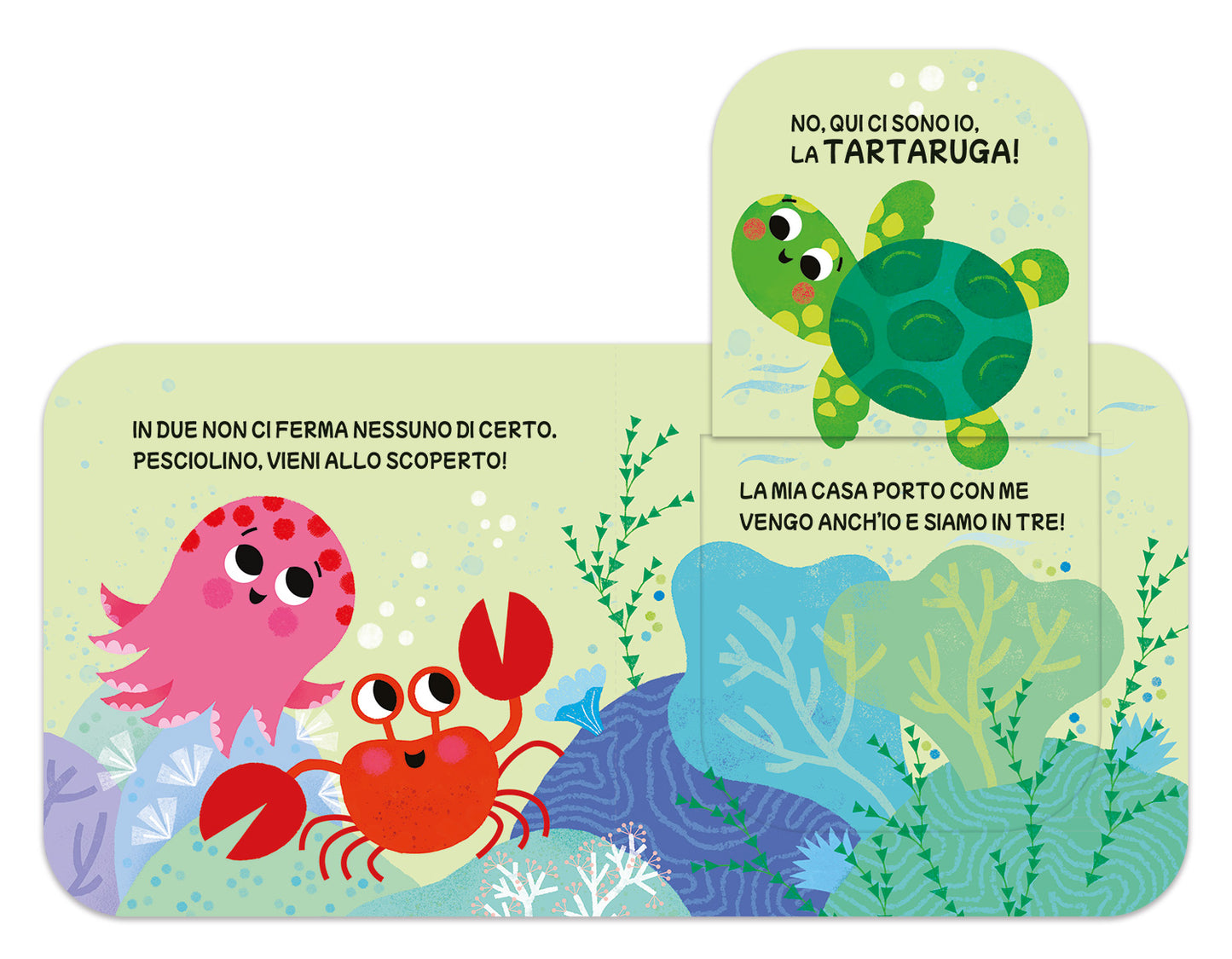 Pesciolino dove sei?